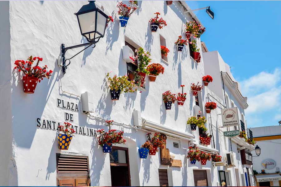 Conil de la Frontera, imagen 6